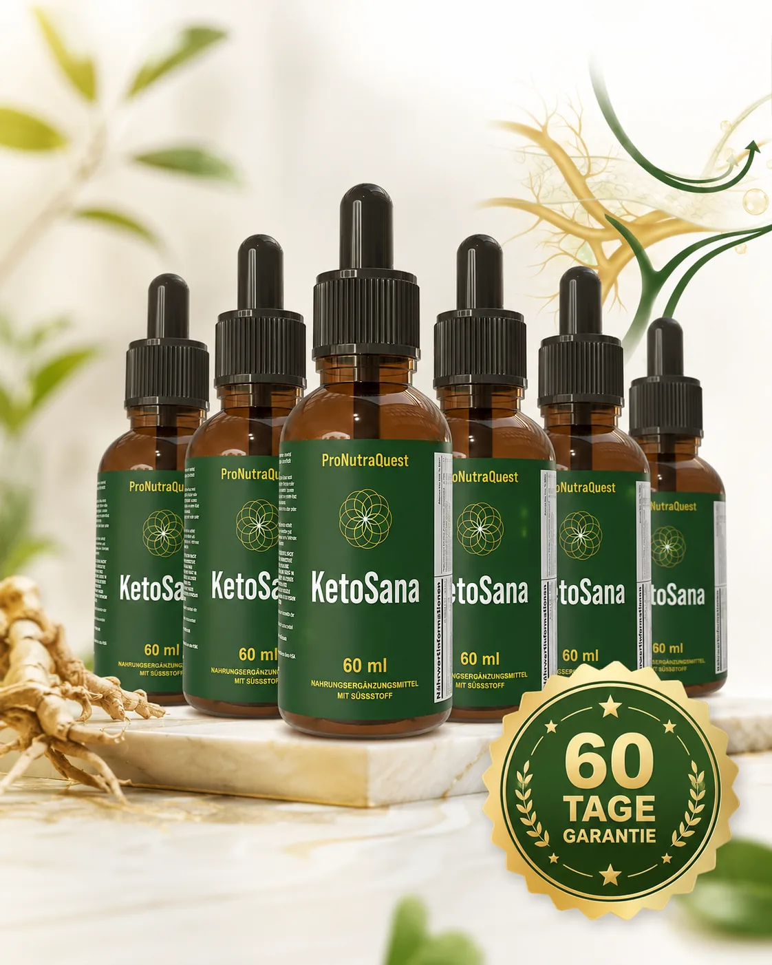 KetoSana sechs Flaschen Paket mit 60 Tage Garantie